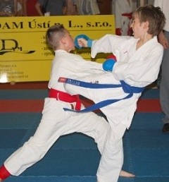 Czech Open Karate Cup 2011